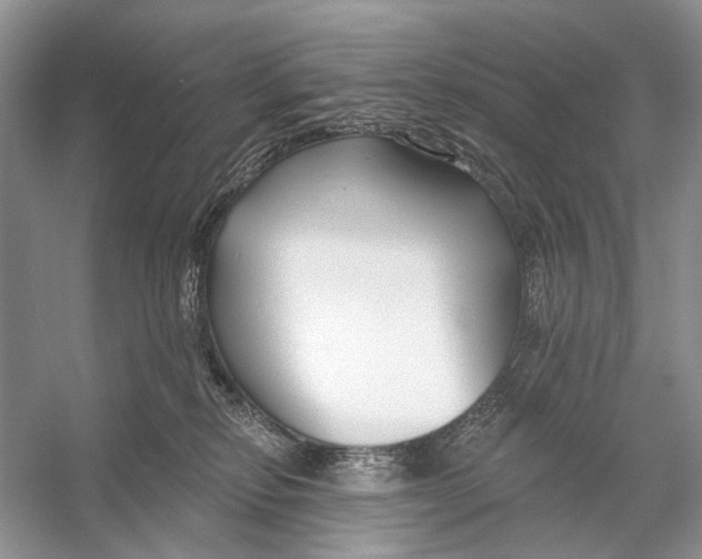 X0000053120278200508081259