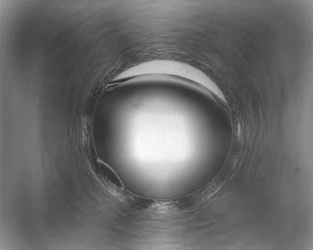 X0000053120280200508081259