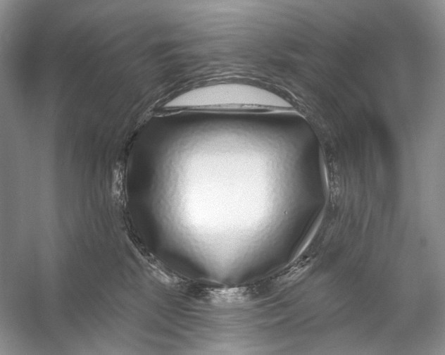 X0000053120281200508081259