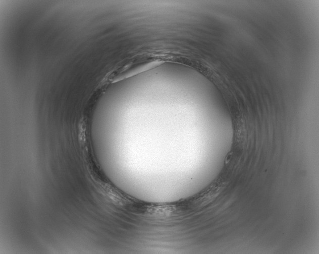 X0000053120282200508081300