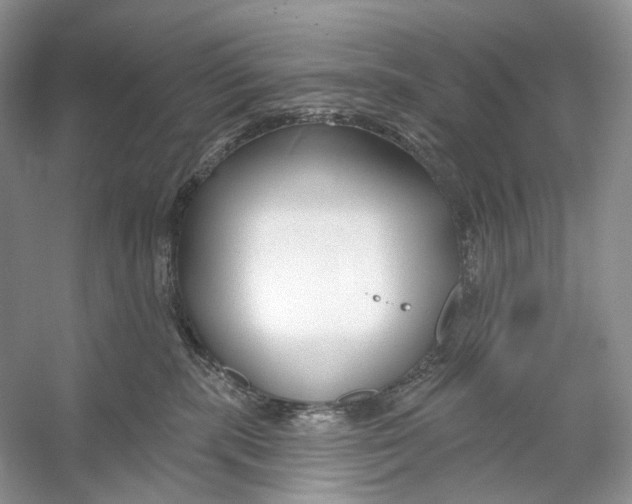 X0000053120283200508081300