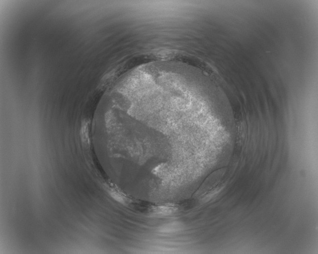 X0000053120286200508081300