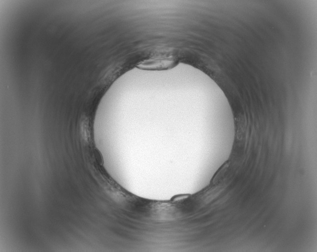 X0000053120287200508081300