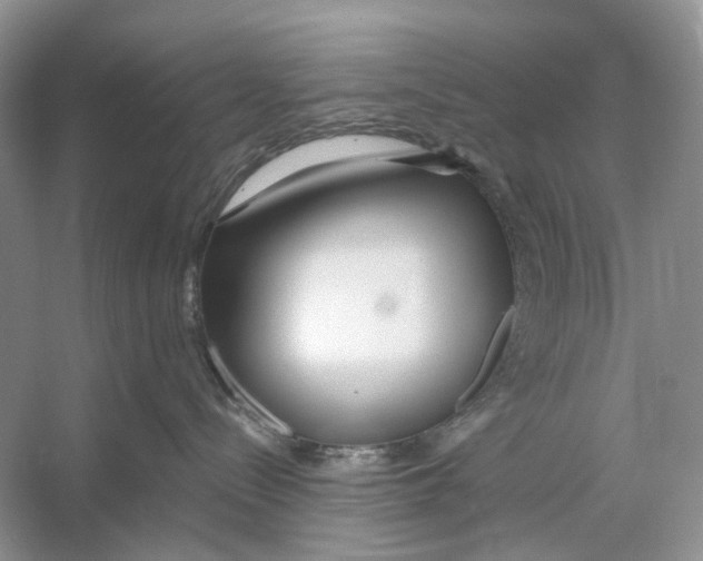 X0000053120288200508081300