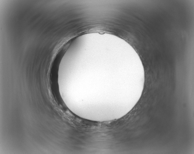 X0000053120289200508081259