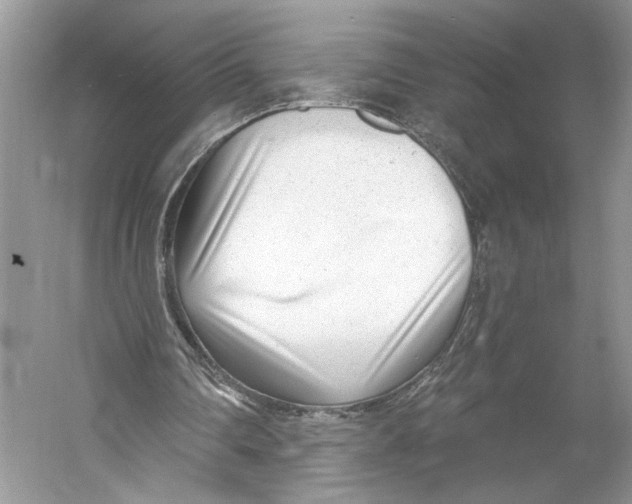 X0000053120290200508081259