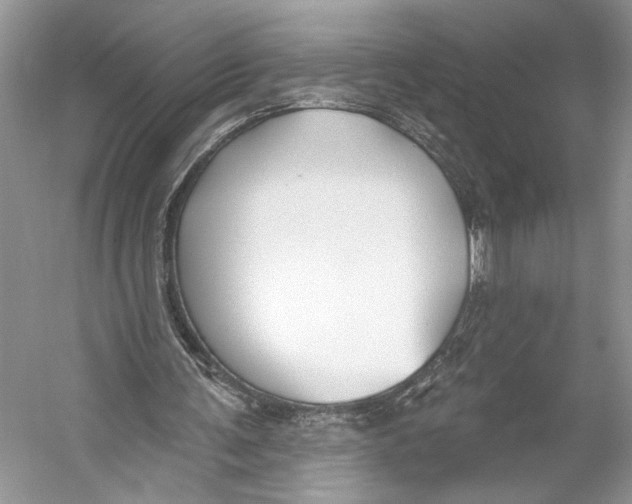 X0000053120291200508081259