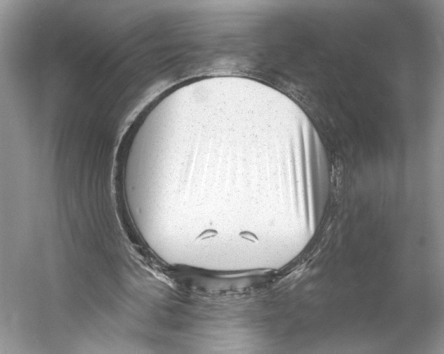 X0000053120292200508081259