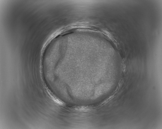 X0000053120293200508081259