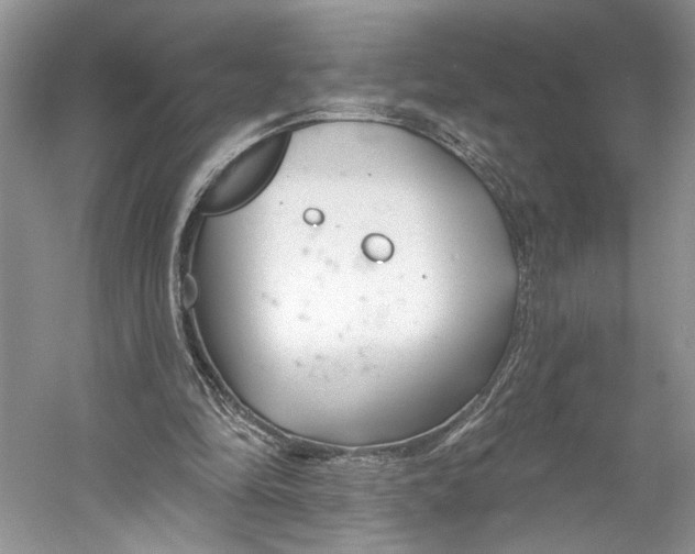 X0000053120294200508081259