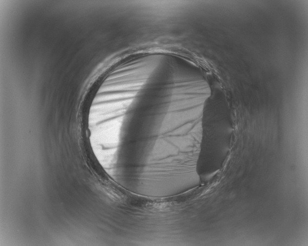 X0000053120295200508081259