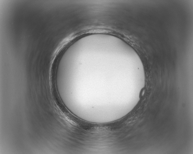 X0000053120296200508081259