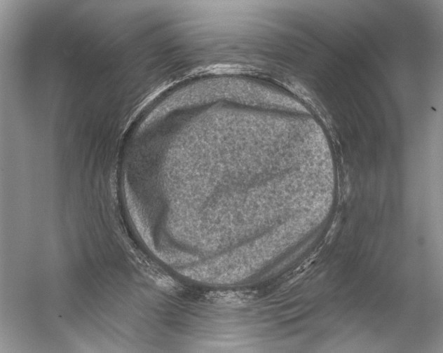 X0000053120297200508081259