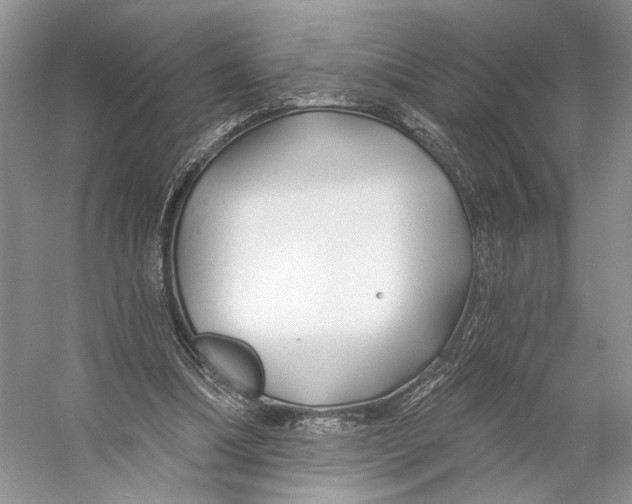 X0000053120298200508081259