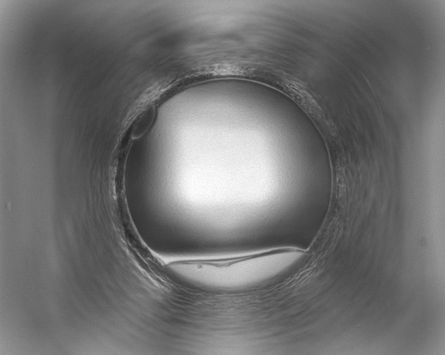 X0000053120299200508081259