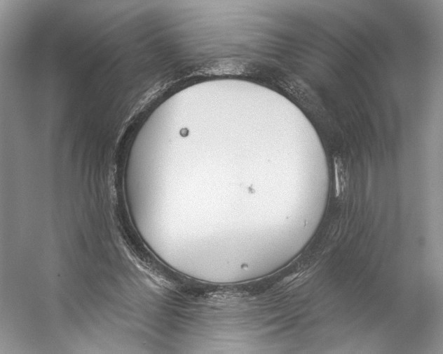 X0000053120300200508081259