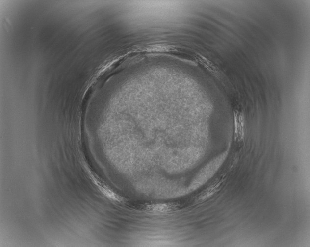 X0000053120301200508081259