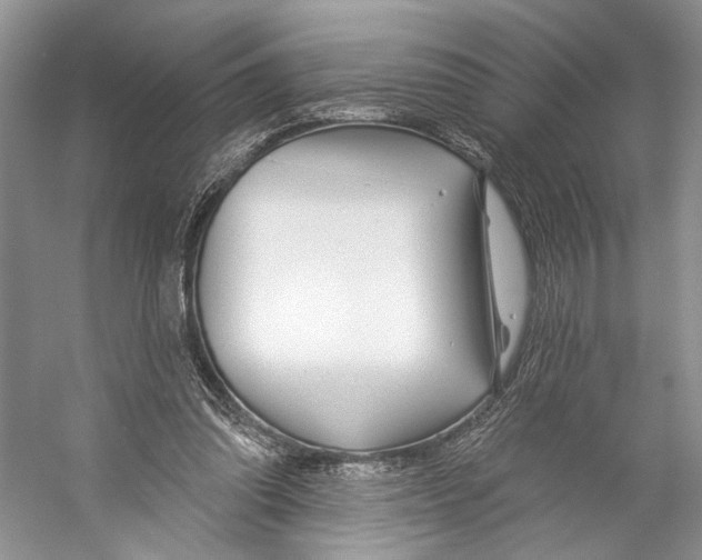 X0000053120302200508081259