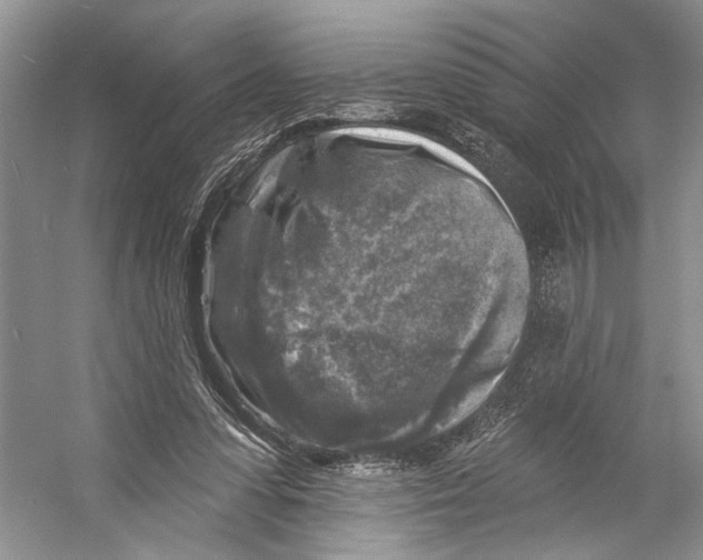 X0000053120303200508081259