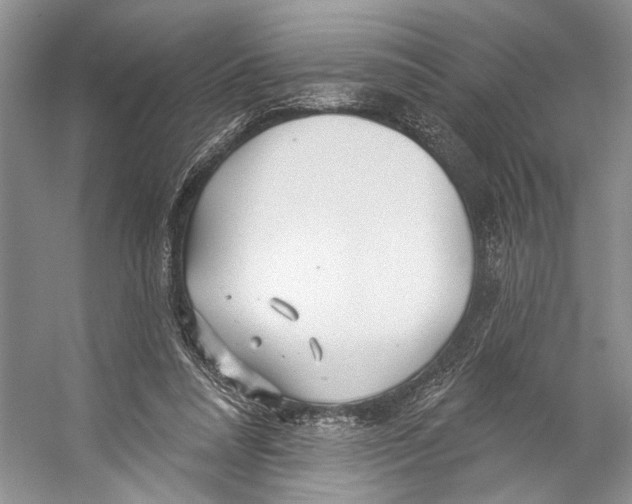 X0000053120304200508081259