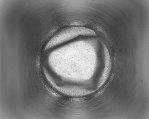 X0000053120305200508081259