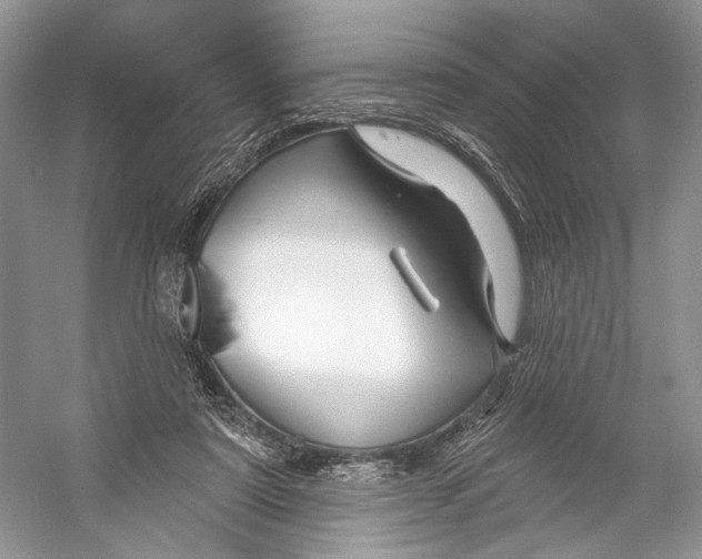 X0000053120307200508081258