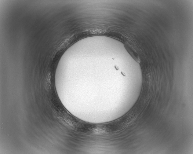 X0000053120308200508081258