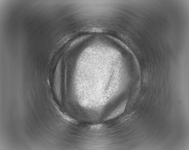 X0000053120309200508081258