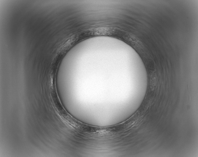 X0000053120310200508081258