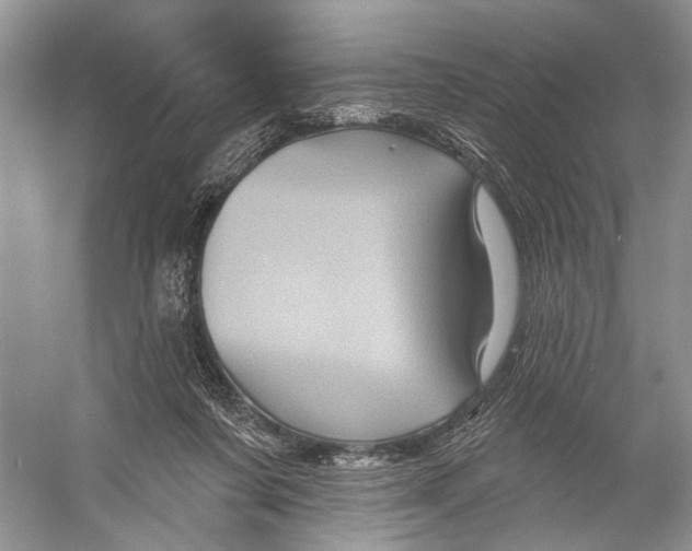 X0000053120311200508081258