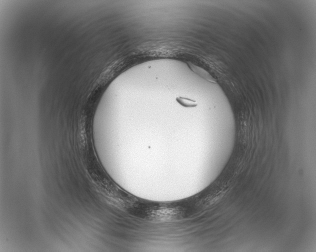 X0000053120312200508081258