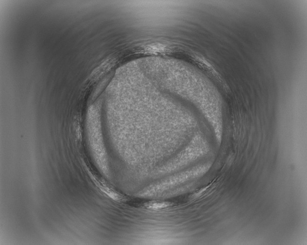 X0000053120313200508081258