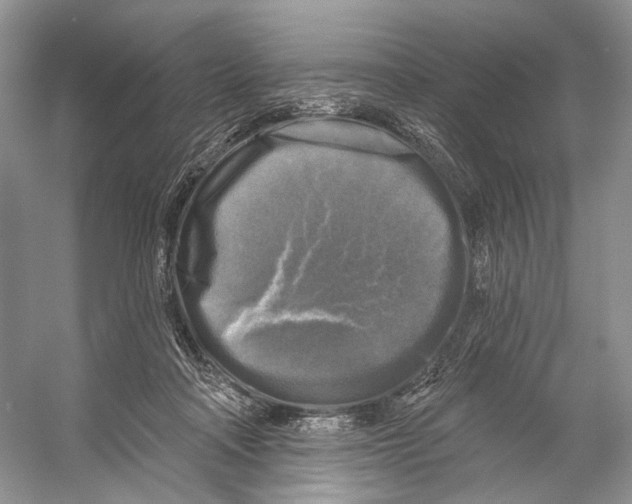 X0000053120314200508081258