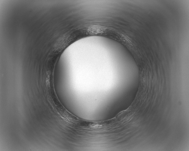 X0000053120315200508081258