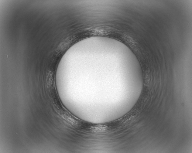 X0000053120318200508081258