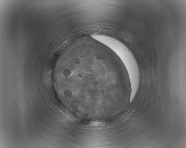 X0000053120319200508081258