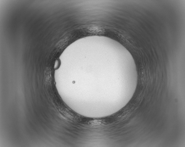 X0000053120320200508081258