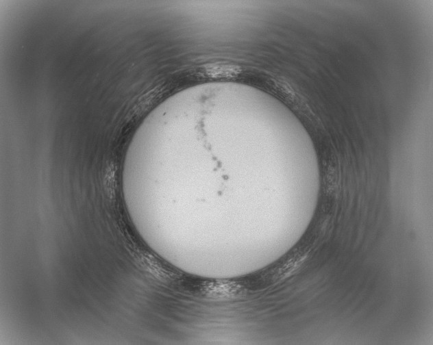 X0000053120321200508081258