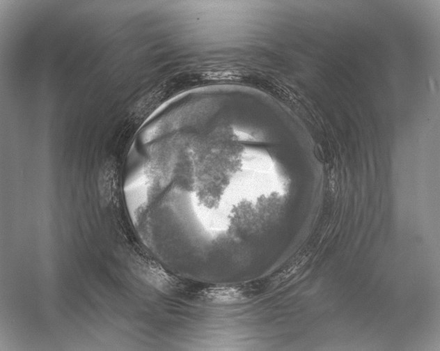 X0000053120322200508081258