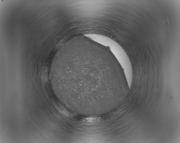 X0000053120323200508081258