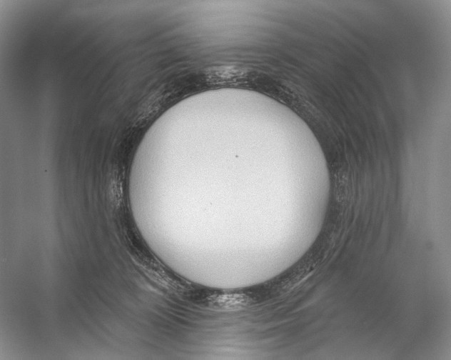 X0000053120324200508081258