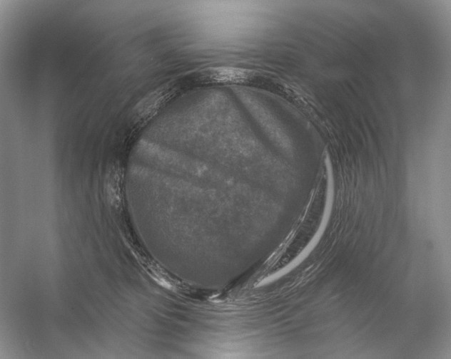 X0000053120325200508081258