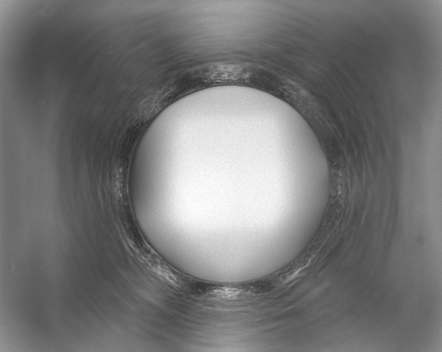 X0000053120326200508081258