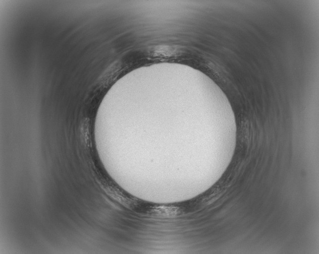 X0000053120328200508081258