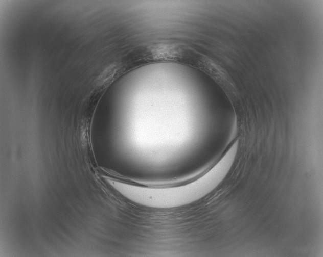 X0000053120329200508081258