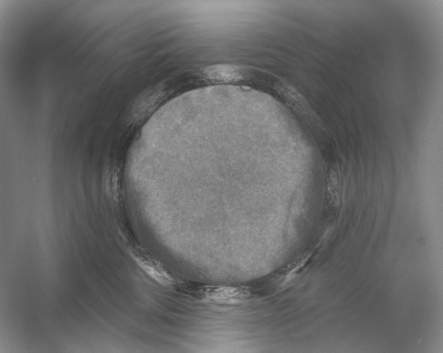 X0000053120330200508081258