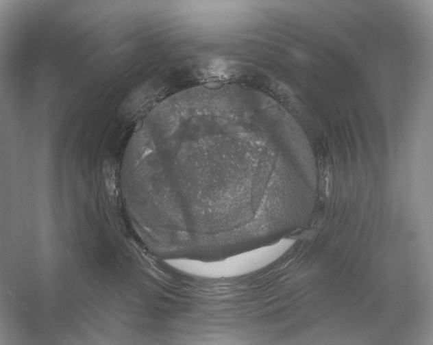 X0000053120331200508081258