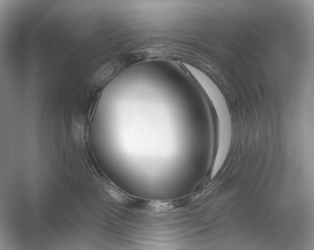 X0000053120333200508081258