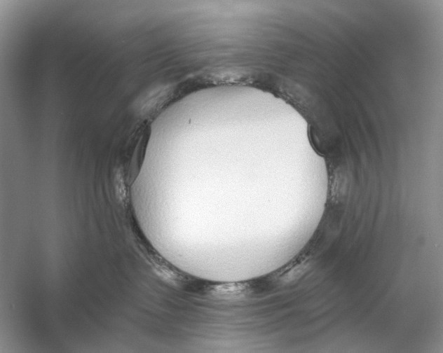 X0000053120335200508081258