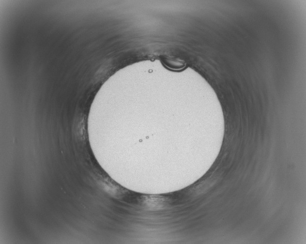 X0000053120336200508081258